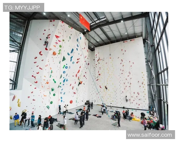 重庆攀岩队实力强劲夺冠最新攀岩实力TOP10榜单揭晓